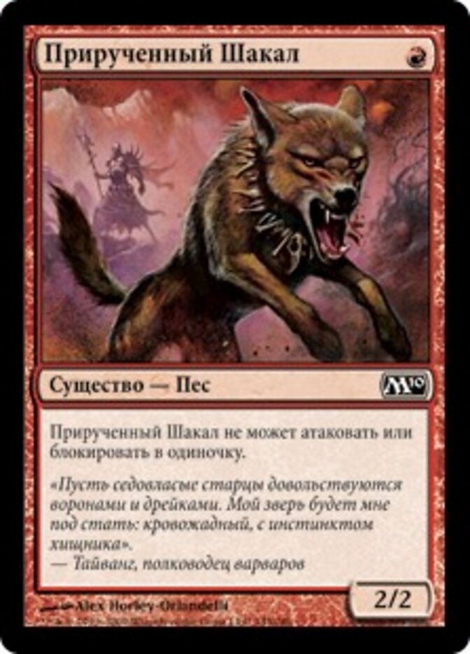 Прирученный Шакал