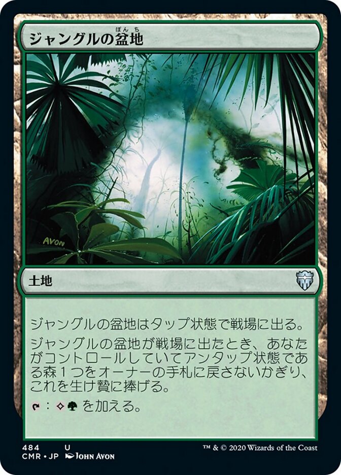ジャングルの盆地