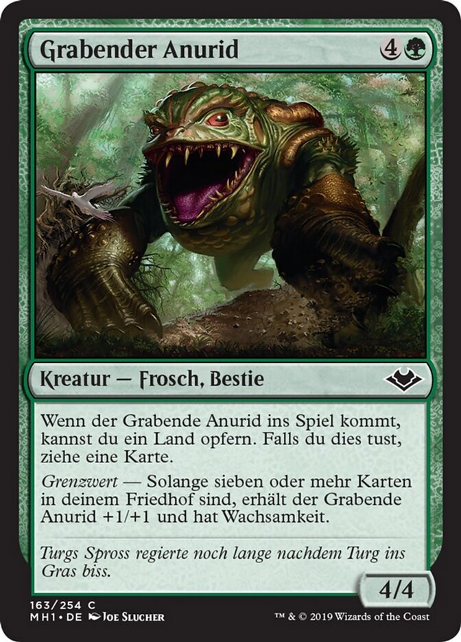 Grabender Anurid