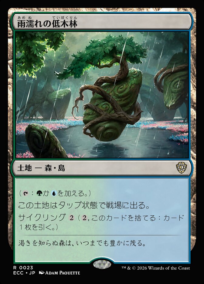 雨濡れの低木林