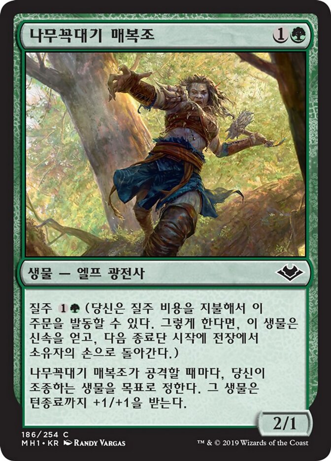 나무꼭대기 매복조