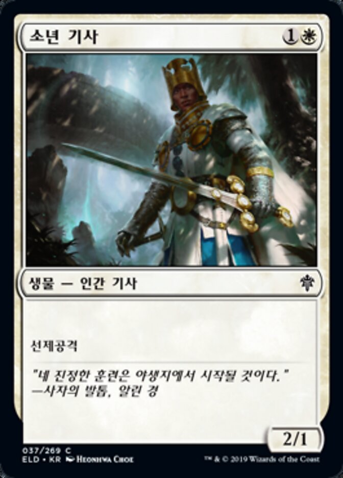 소년 기사