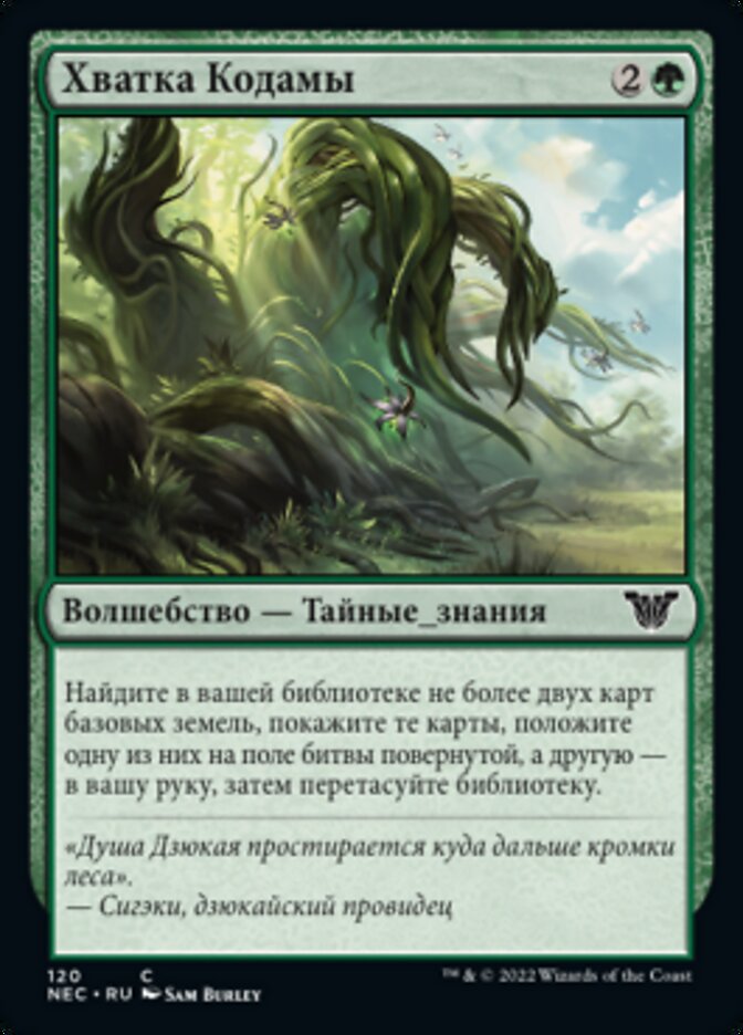Хватка Кодамы