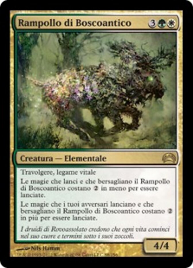 Rampollo di Boscoantico