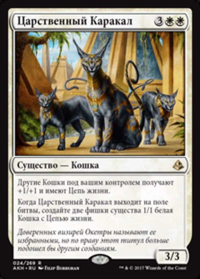 Царственный Каракал