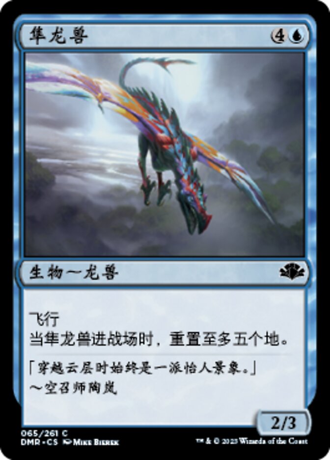 隼龙兽