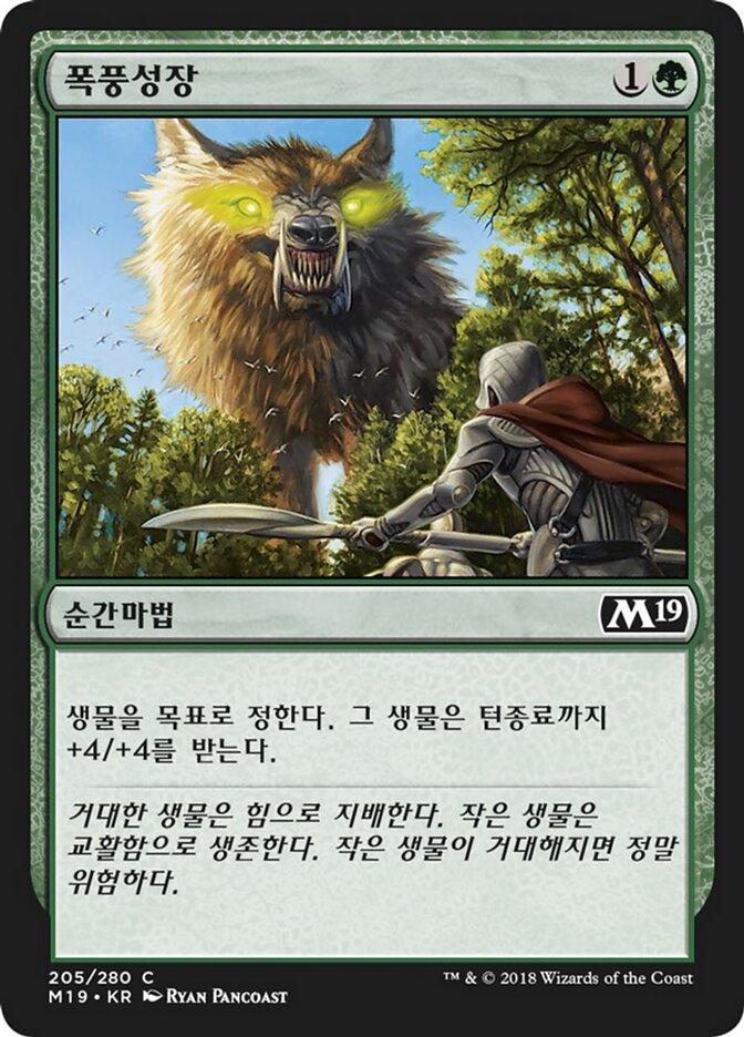 폭풍성장