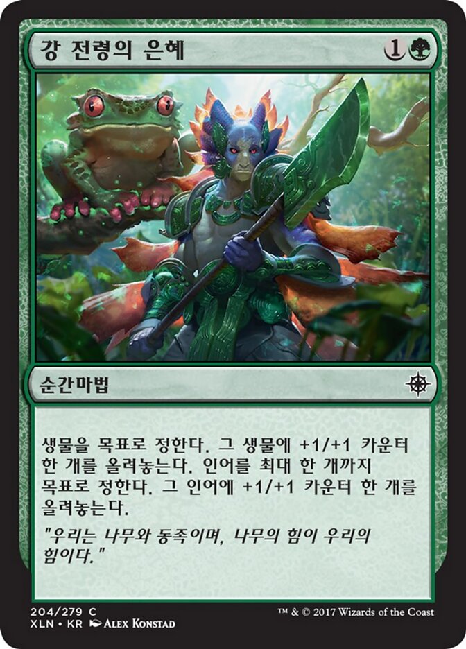 강 전령의 은혜