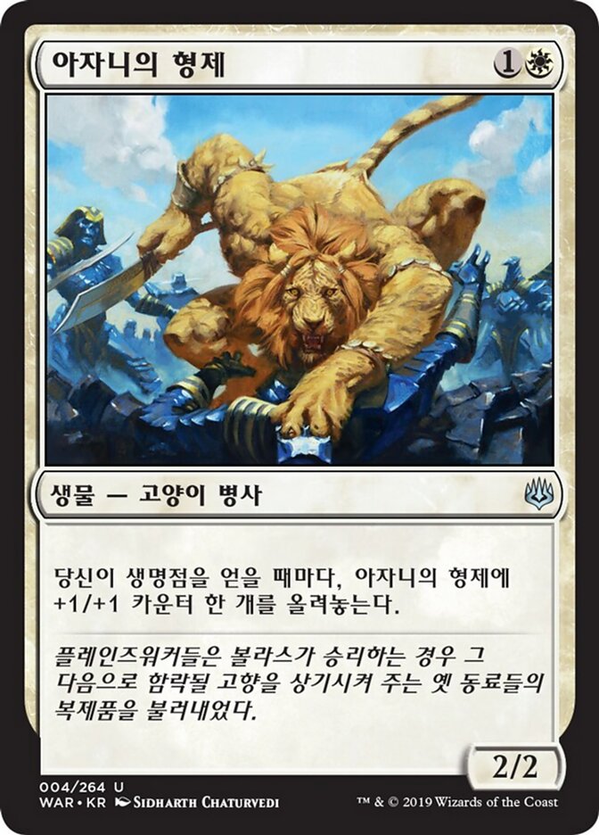 아자니의 형제