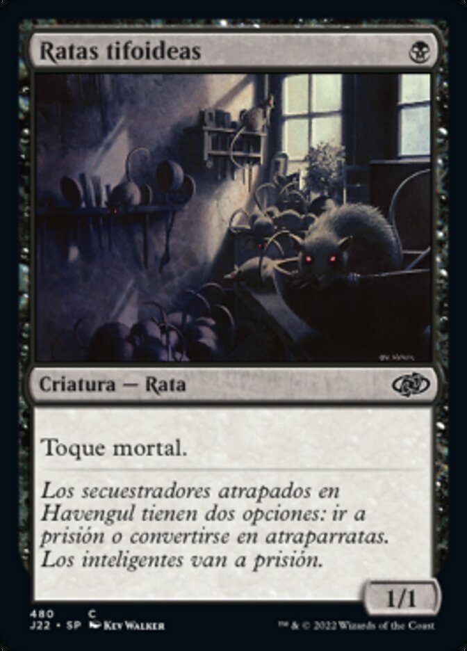 Ratas tifoideas