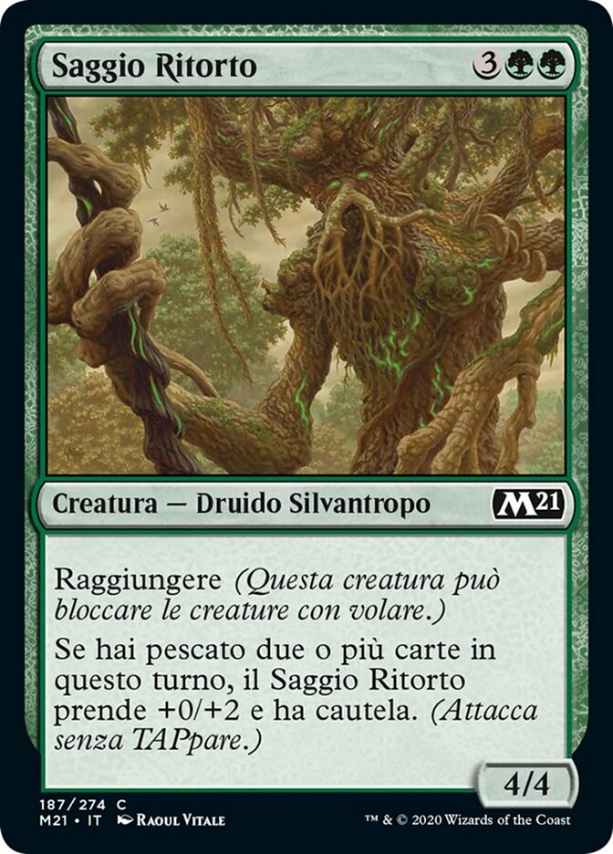 Saggio Ritorto