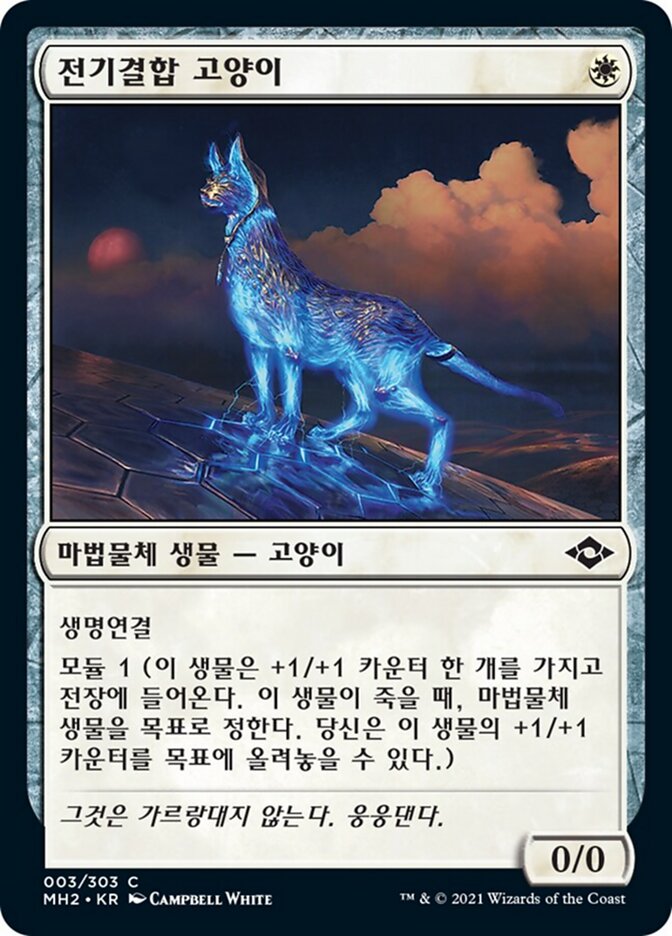 전기결합 고양이
