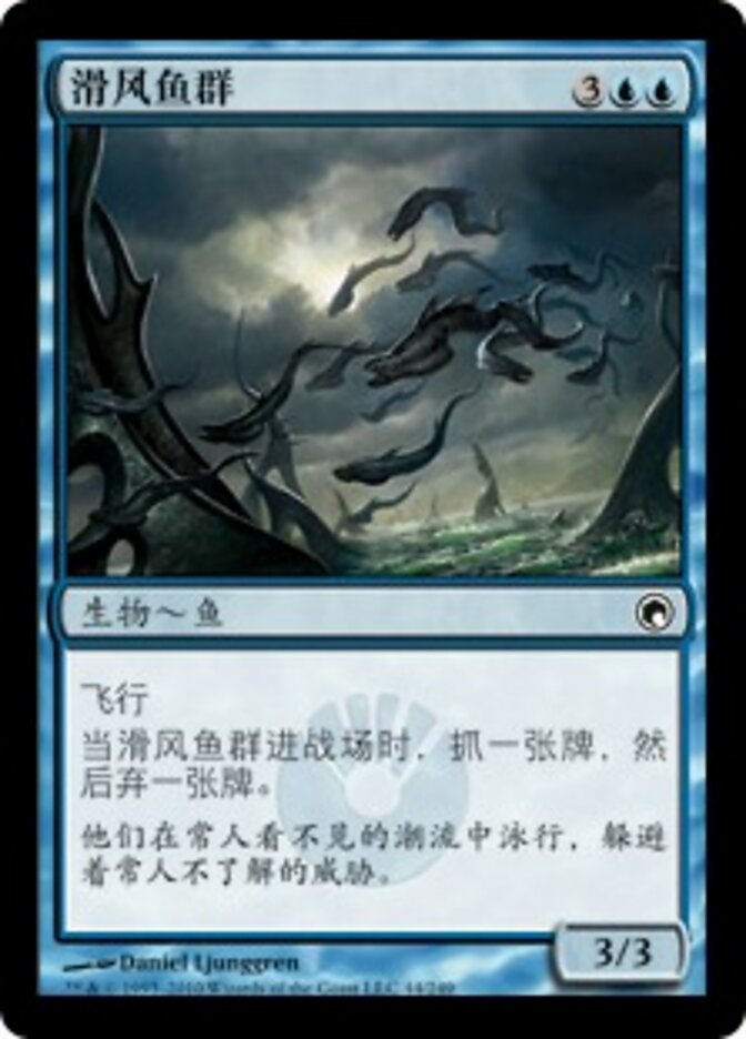 滑风鱼群