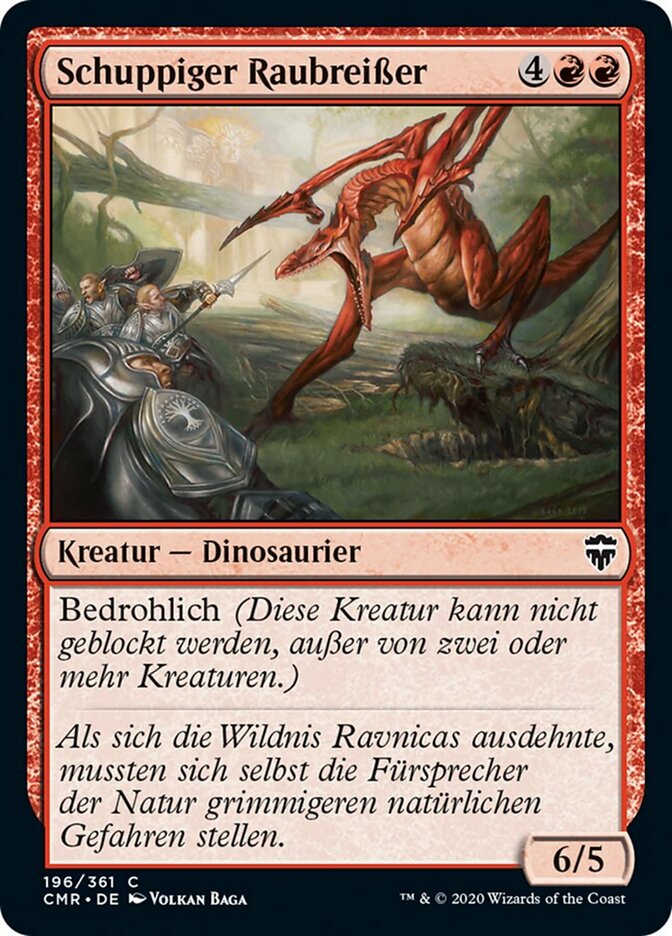 Schuppiger Raubreißer