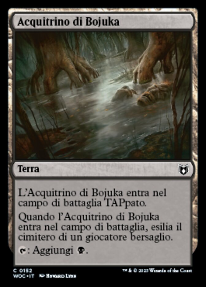 Acquitrino di Bojuka