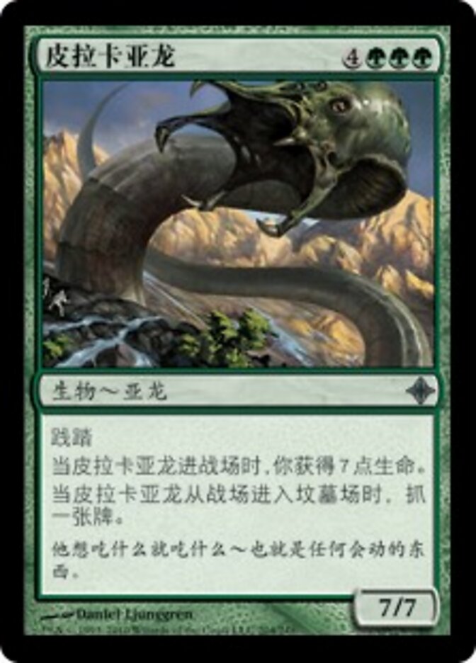 皮拉卡亚龙