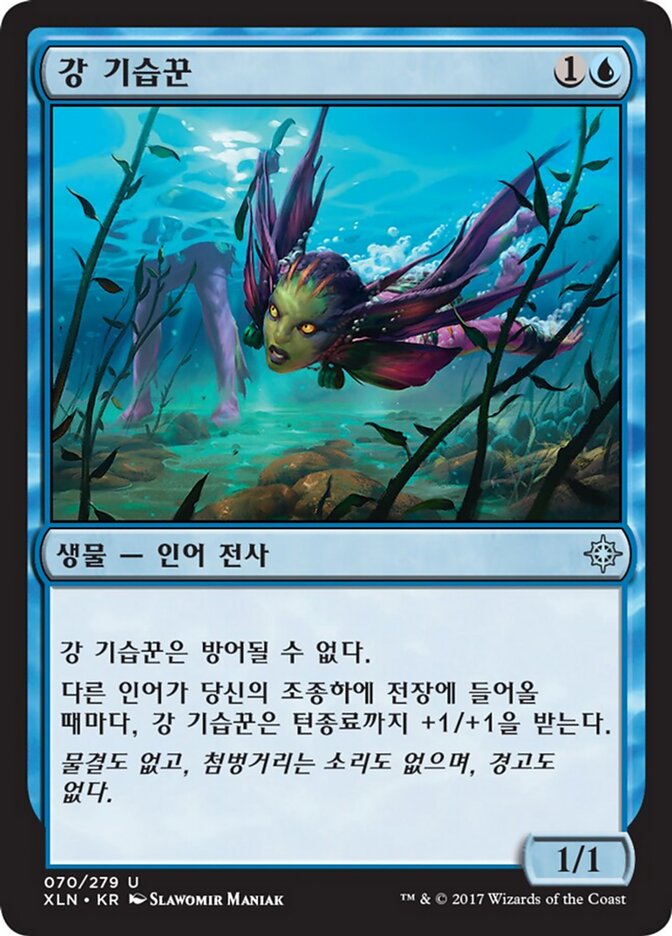 강 기습꾼