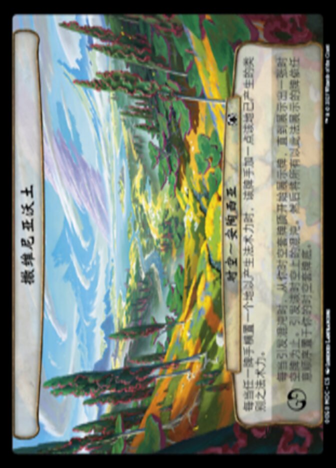 撒维尼亚沃土