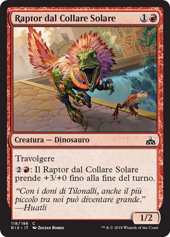 Raptor dal Collare Solare