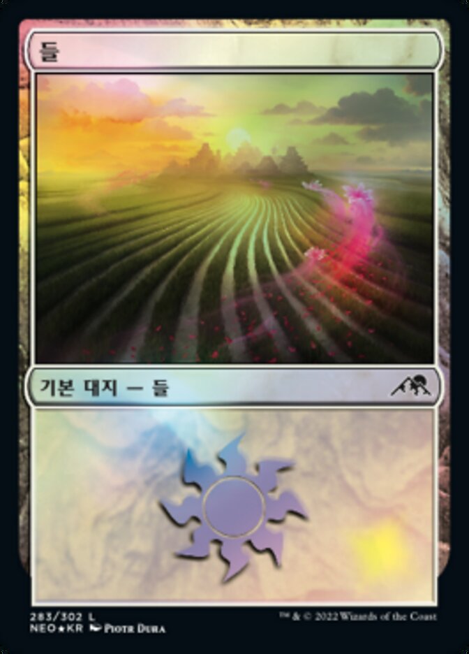 들
