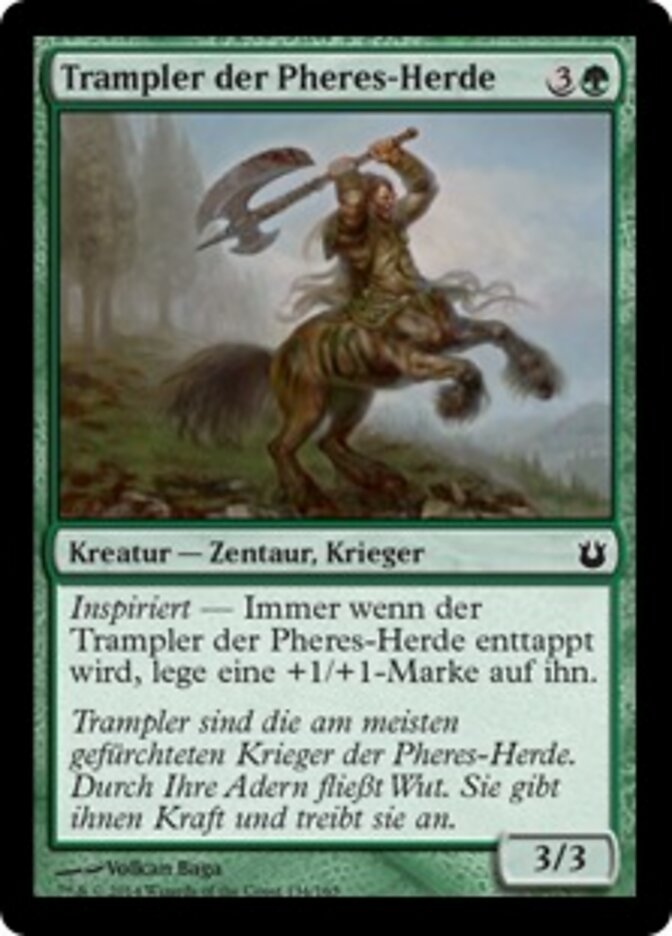 Trampler der Pheres-Herde