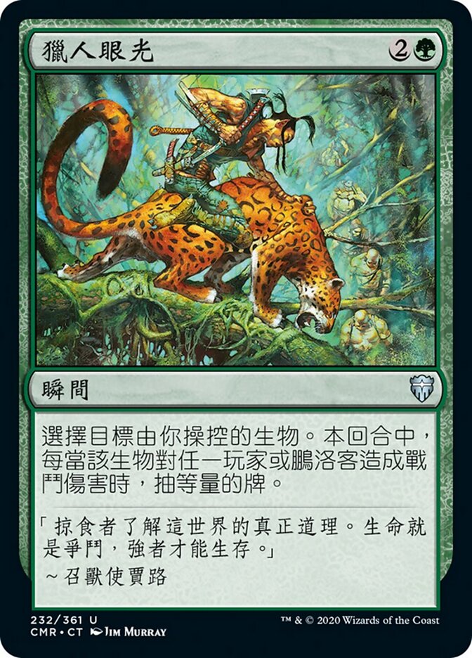 獵人眼光
