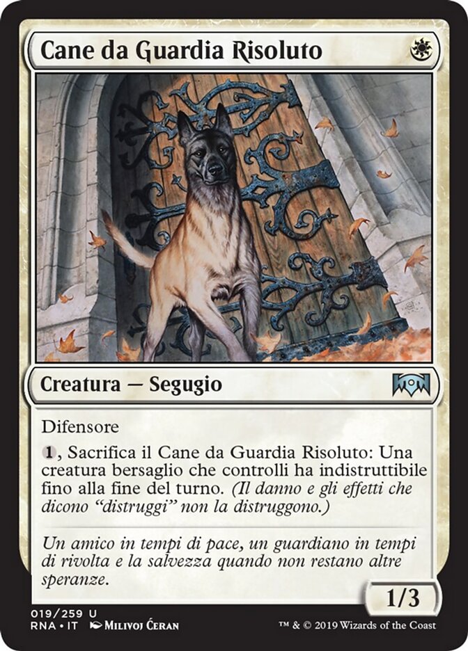 Cane da Guardia Risoluto