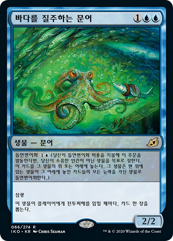바다를 질주하는 문어
