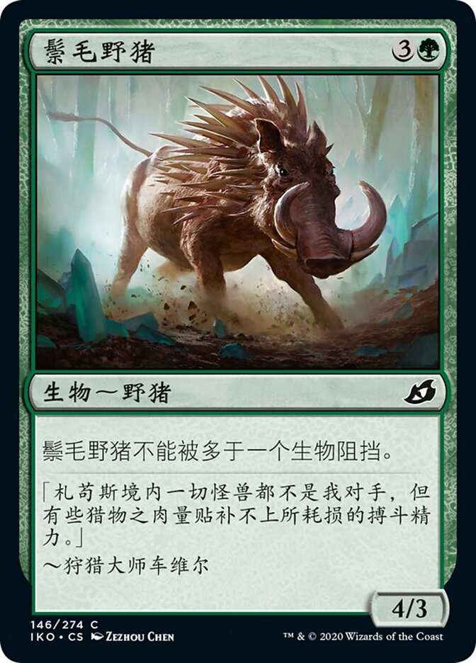 鬃毛野猪