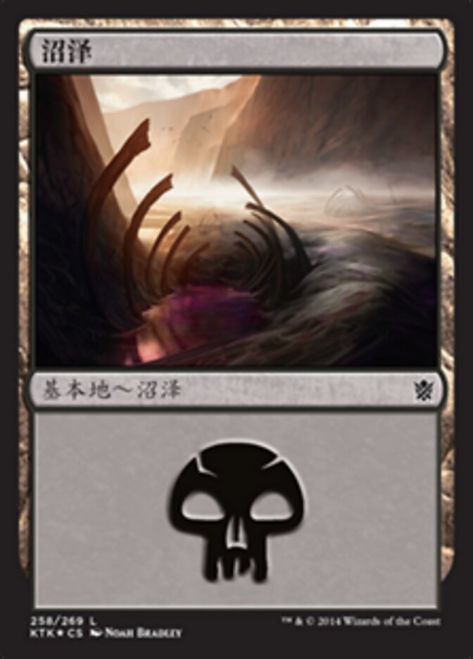 沼泽