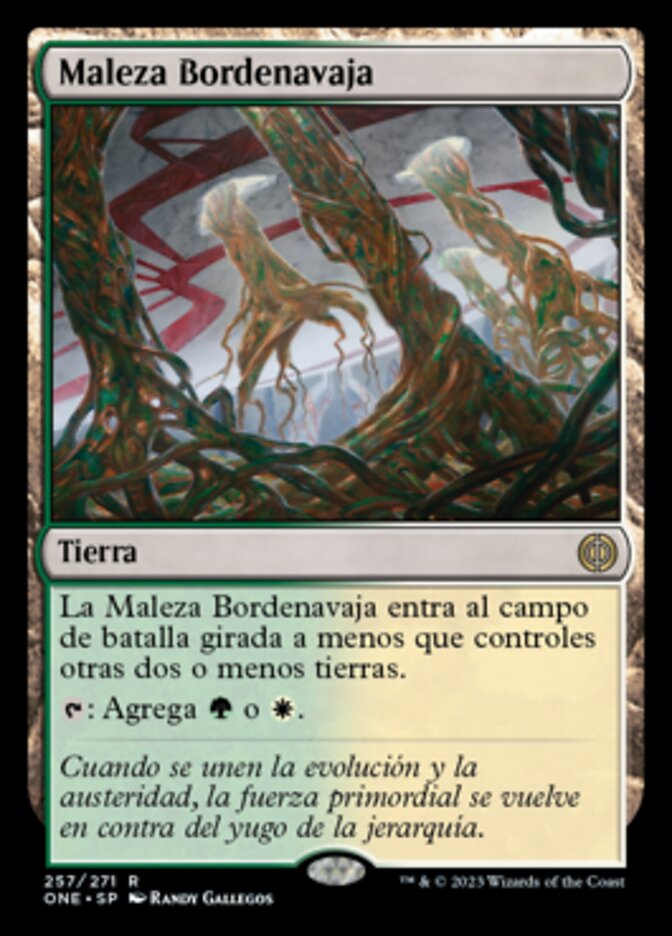 Maleza Bordenavaja