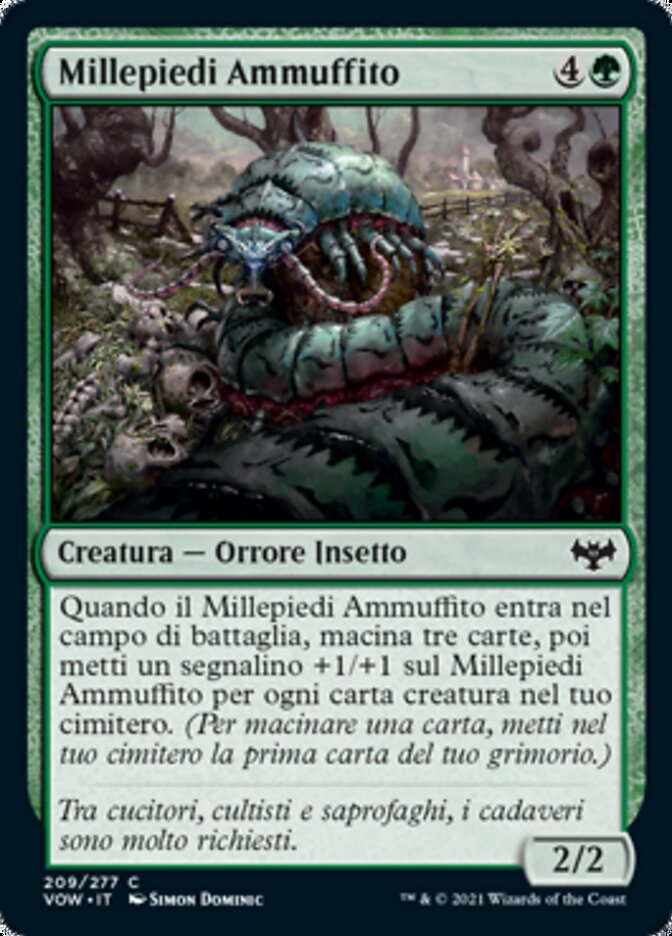 Millepiedi Ammuffito