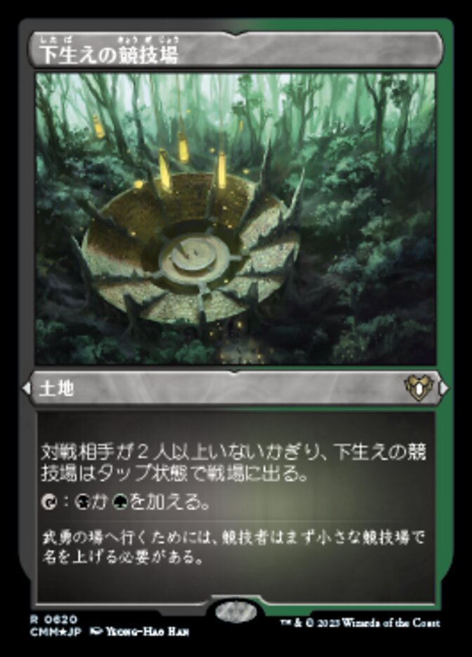 下生えの競技場