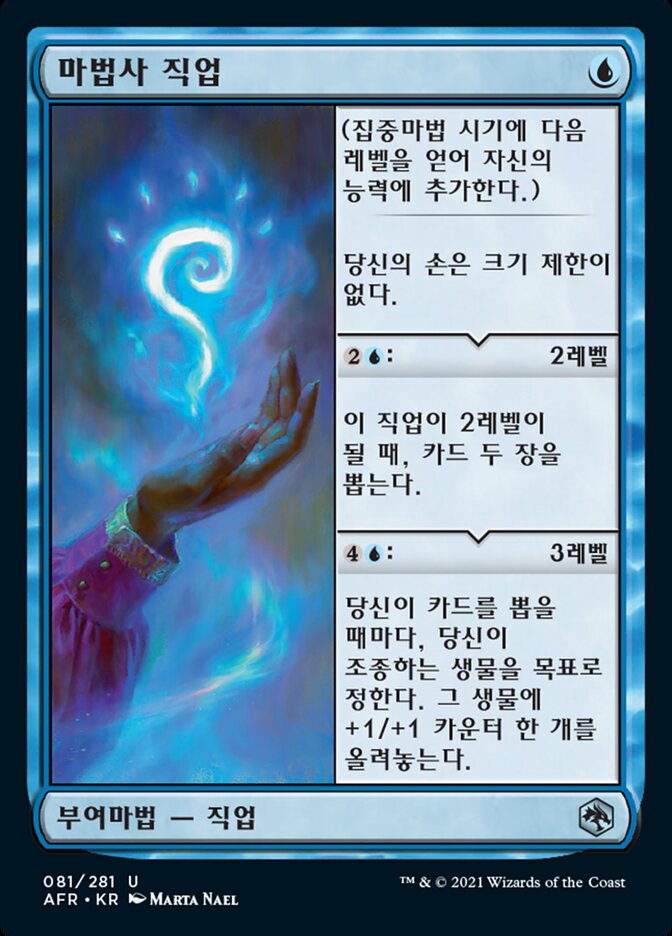 마법사 직업