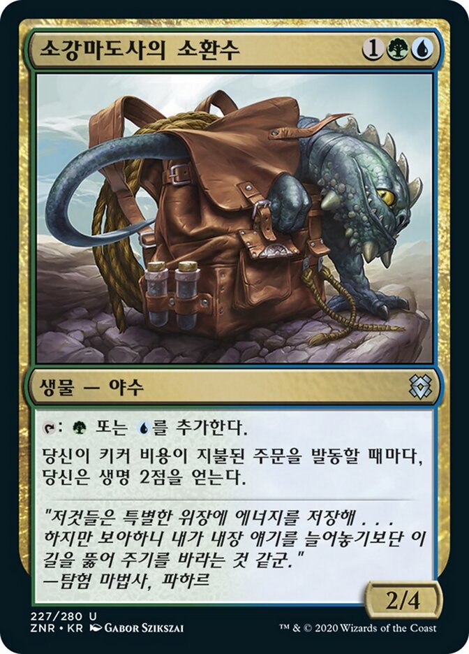 소강마도사의 소환수