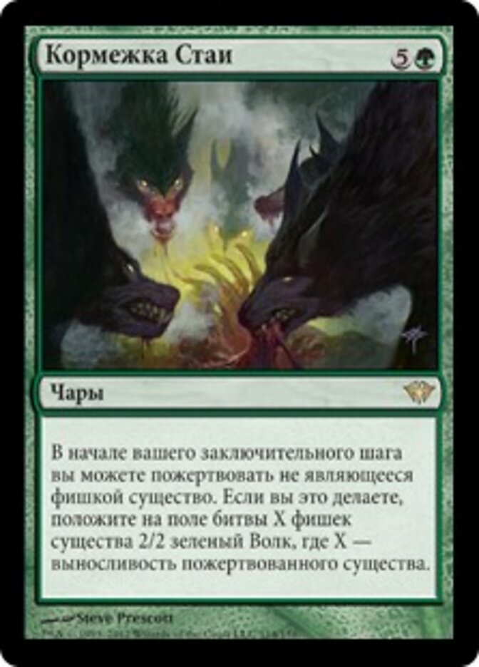 Кормежка Стаи