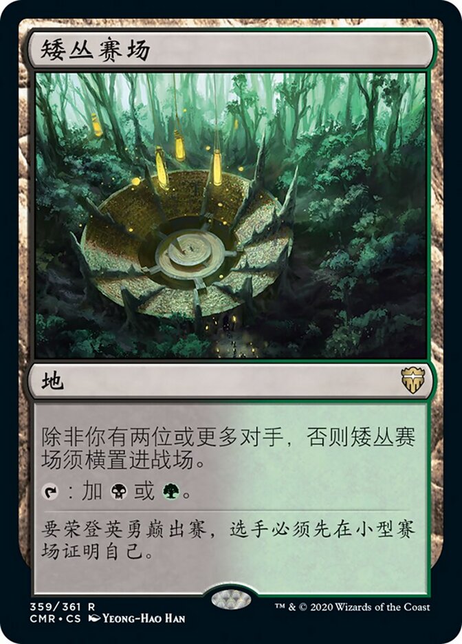 矮丛赛场