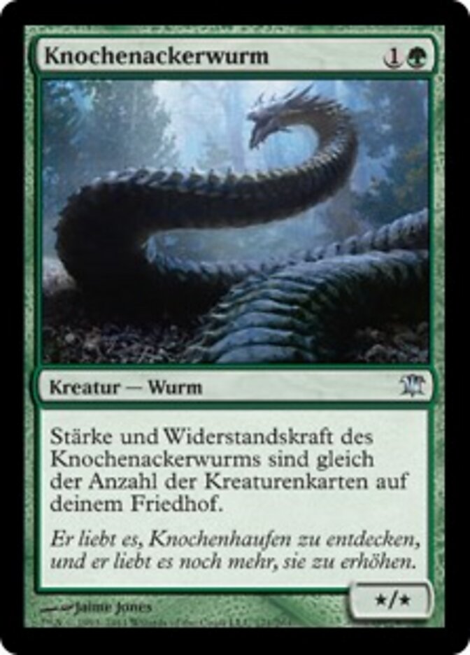 Knochenackerwurm
