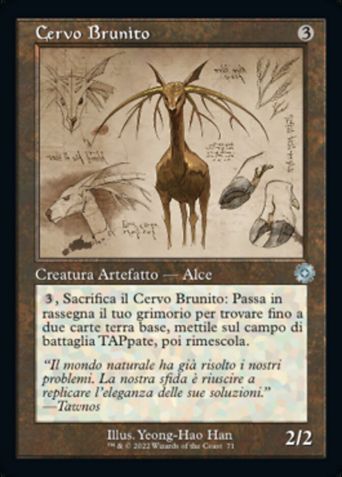 Cervo Brunito