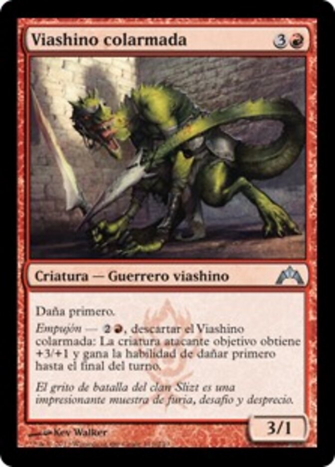 Viashino colarmada