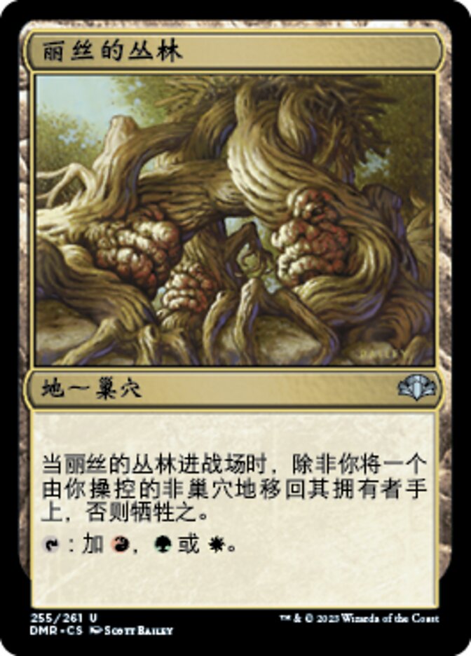 丽丝的丛林