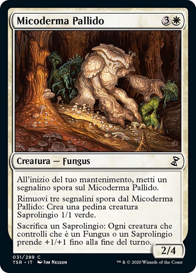 Micoderma Pallido