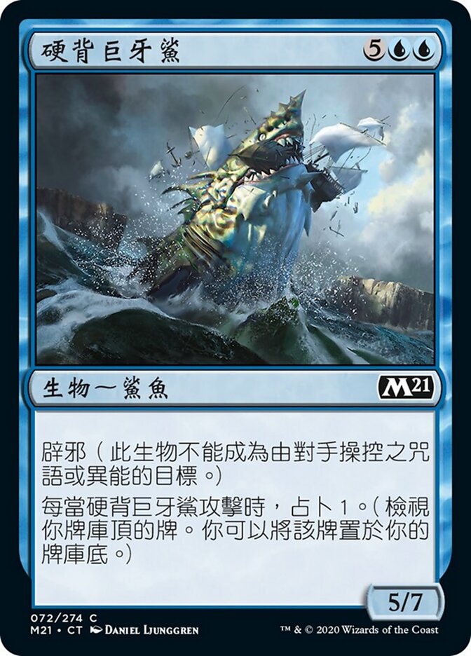 硬背巨牙鯊