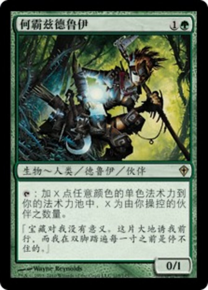 何霸兹德鲁伊