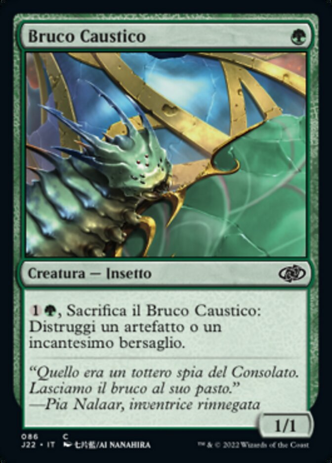 Bruco Caustico
