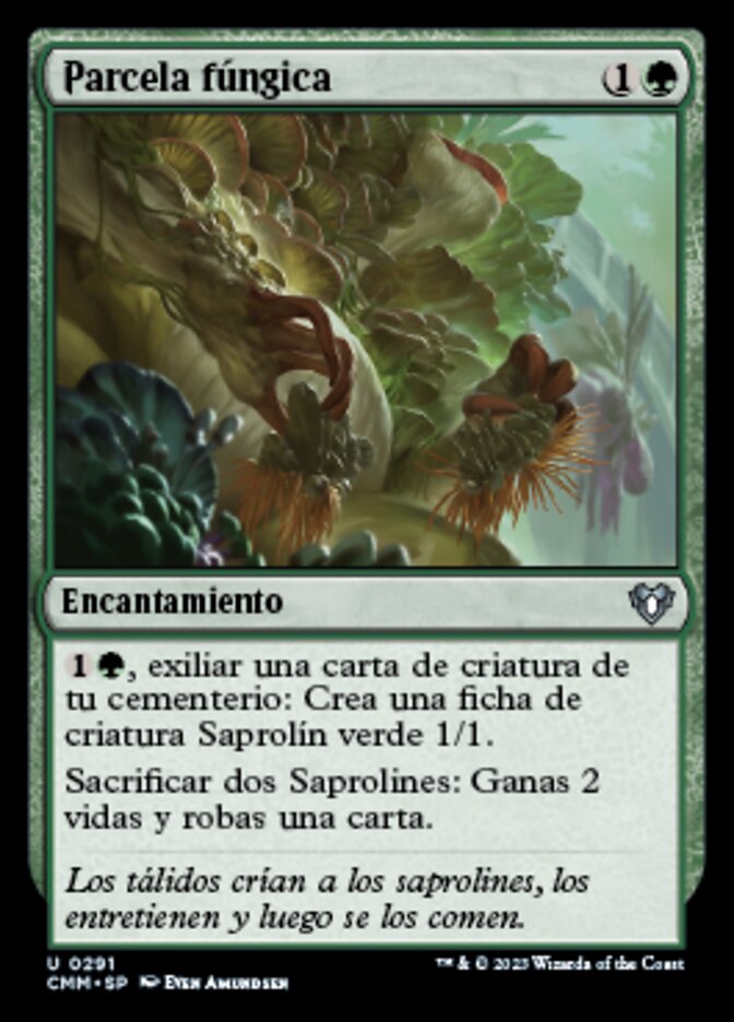 Parcela fúngica
