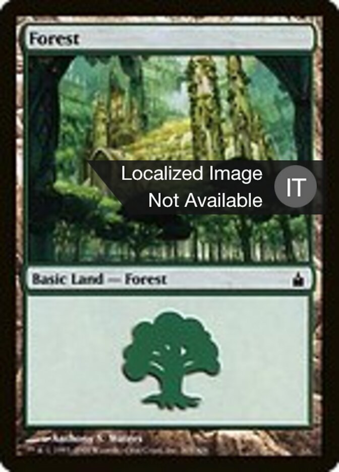 Foresta