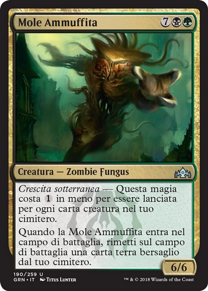 Mole Ammuffita