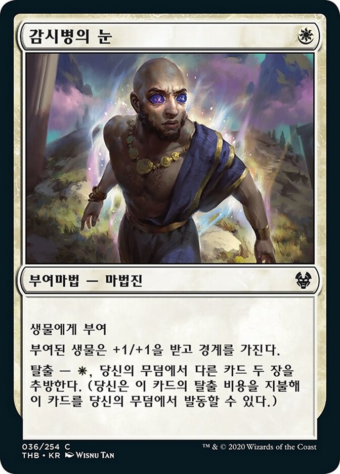 감시병의 눈