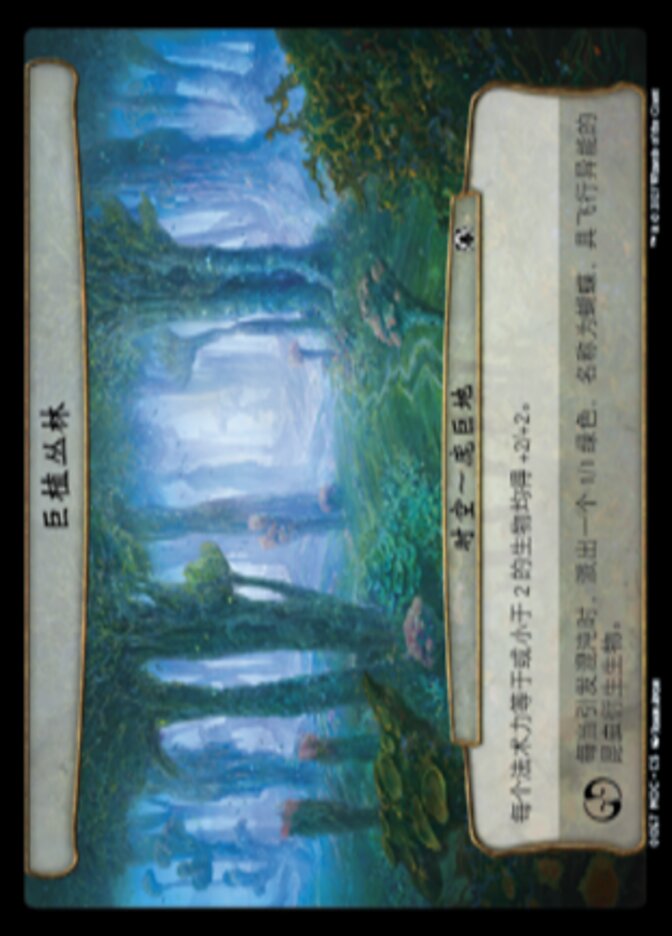 巨植丛林